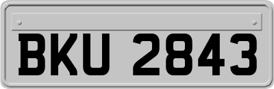 BKU2843