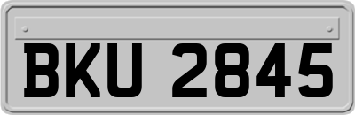 BKU2845