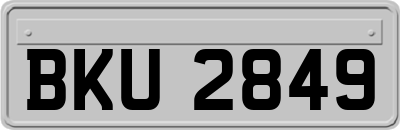 BKU2849