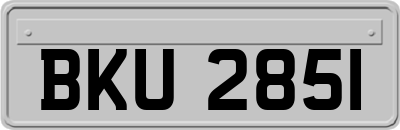 BKU2851