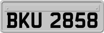 BKU2858