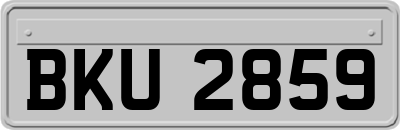 BKU2859