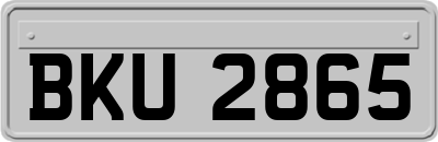 BKU2865