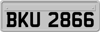 BKU2866