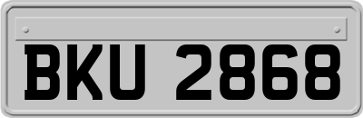 BKU2868