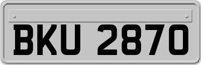 BKU2870