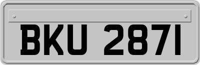 BKU2871