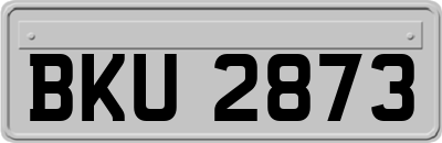 BKU2873