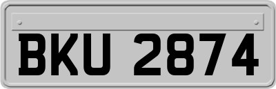 BKU2874