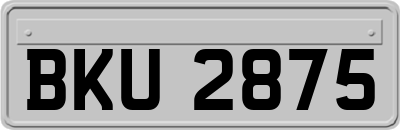BKU2875