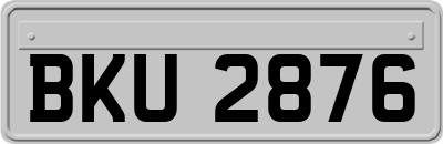 BKU2876