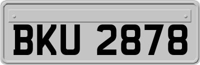 BKU2878