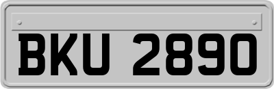 BKU2890