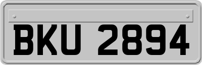BKU2894