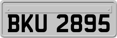 BKU2895