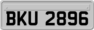 BKU2896