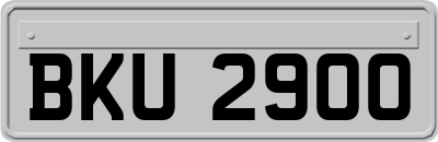 BKU2900