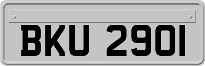 BKU2901