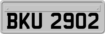 BKU2902