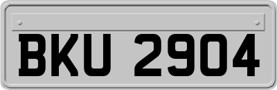BKU2904