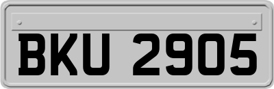 BKU2905