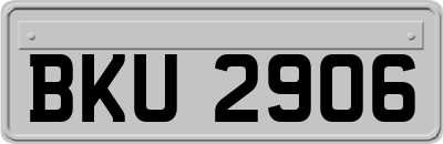 BKU2906