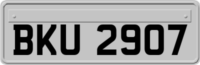 BKU2907