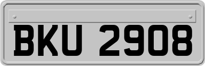BKU2908