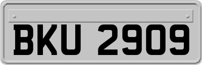 BKU2909