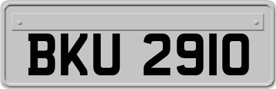BKU2910