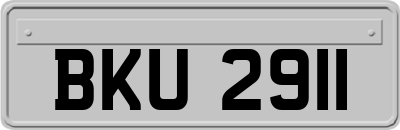 BKU2911