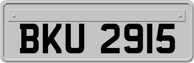 BKU2915