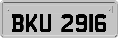 BKU2916