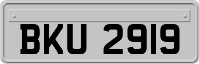 BKU2919