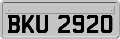 BKU2920