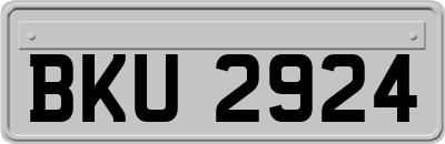 BKU2924