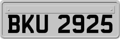 BKU2925