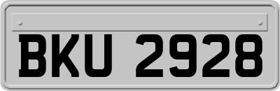BKU2928