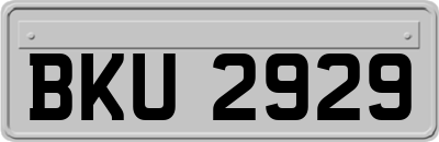 BKU2929