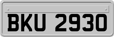 BKU2930