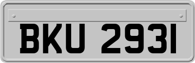 BKU2931