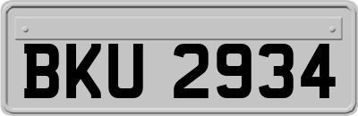 BKU2934