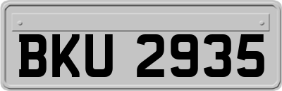 BKU2935