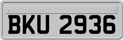 BKU2936