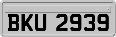 BKU2939