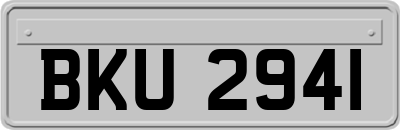 BKU2941