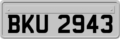 BKU2943