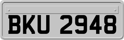 BKU2948