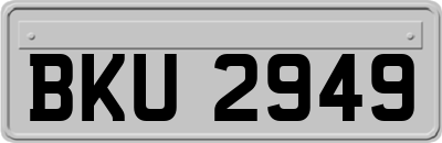BKU2949