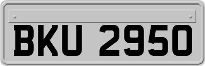 BKU2950